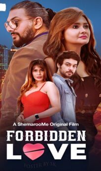 Forbidden Love (2024) Hindi Movie