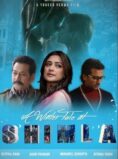 A Winter Tale at Shimla (2023) Hindi Movie